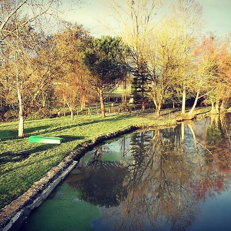 Gite Moulin De Lausseignan Barbaste Esterno foto