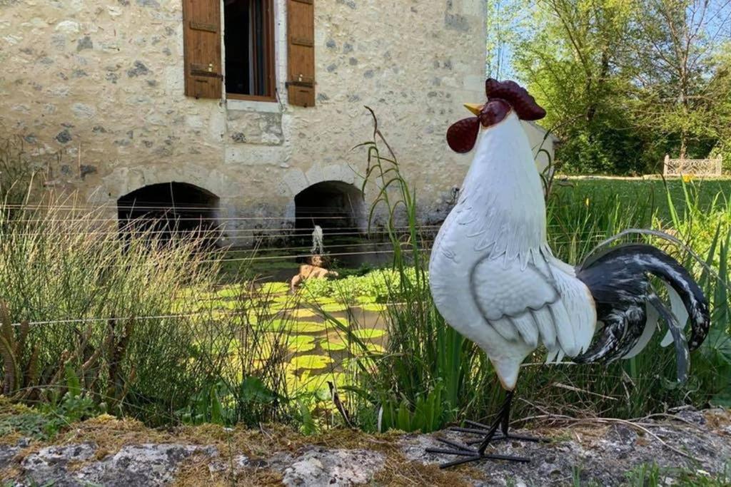 Gite Moulin De Lausseignan Barbaste Esterno foto