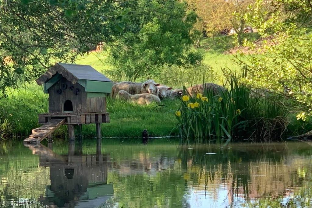 Gite Moulin De Lausseignan Barbaste Esterno foto