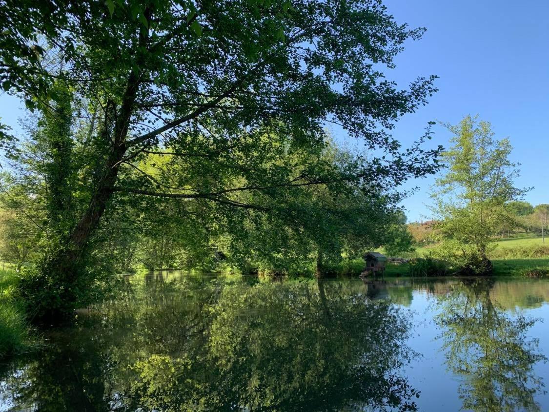 Gite Moulin De Lausseignan Barbaste Esterno foto